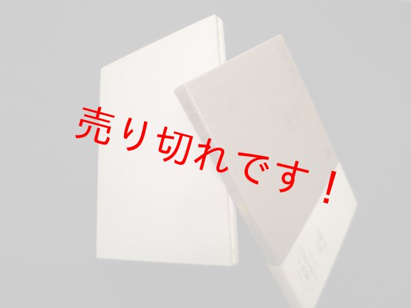 画像1: 星間の採譜術　高柳誠/小林健二 装画 (1)