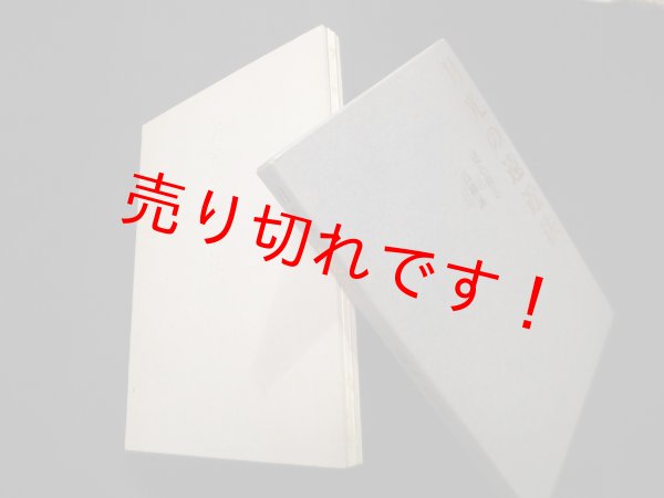 画像1: 月光の遠近法　高柳誠/建石修志 装画 (1)