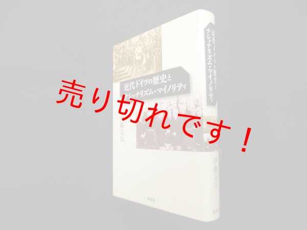 画像1: 近代ドイツの歴史とナショナリズム・マイノリティ　伊藤定良 (1)
