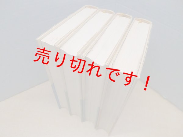 画像3: ヨーロッパ　全4冊　ノーマン・デイヴィス/別宮貞徳 訳 (3)