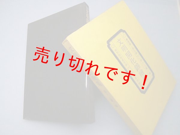 画像1: 文明開化錦絵集―横浜絵と開化絵　野々上慶一 編 (1)