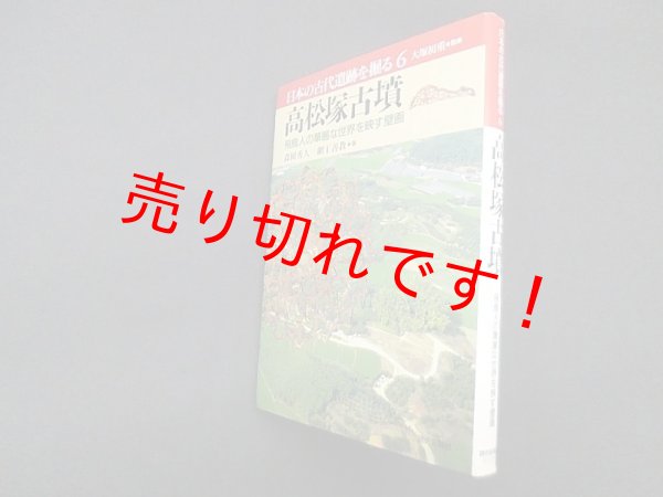 画像1: 高松塚古墳―飛鳥人の華麗な世界を映す壁画 (日本の古代遺跡を掘る)　森岡秀人 他 (1)