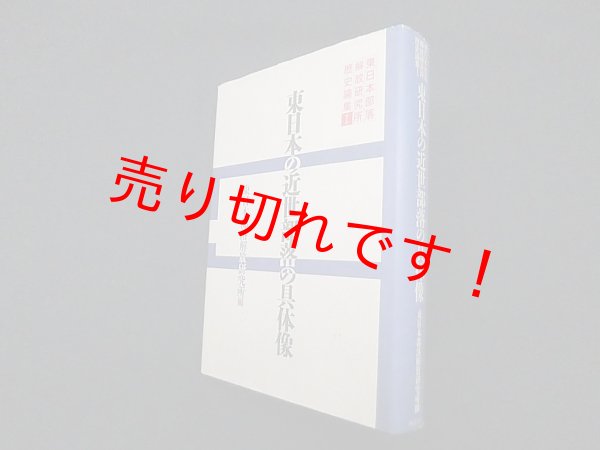 画像1: 東日本の近世部落の具体像 (東日本部落解放研究所歴史論集)　東日本部落解放研究所 編 (1)