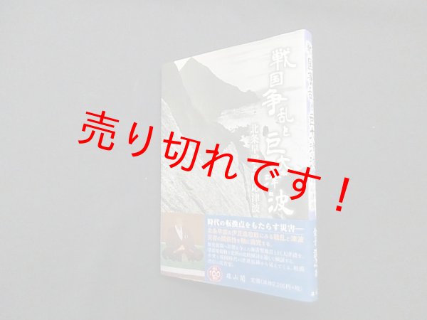 画像1: 戦国争乱と巨大津波―北条早雲と明応津波　金子浩之 (1)