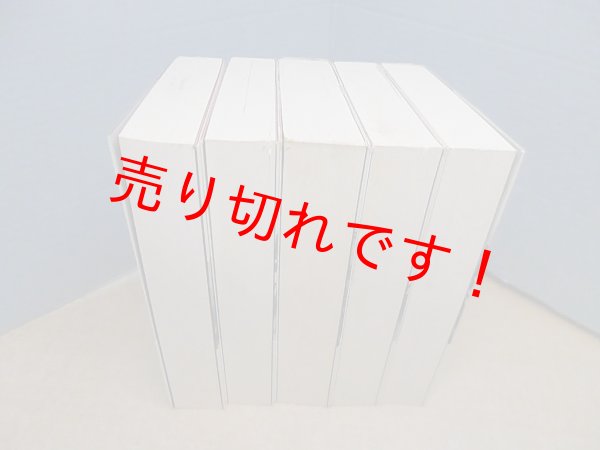画像2: 第三帝国の興亡　全5冊揃　ウィリアム・L. シャイラー/松浦伶 訳 (2)