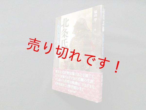 画像1: 北条氏綱と戦国関東争奪戦　湯山学 (1)