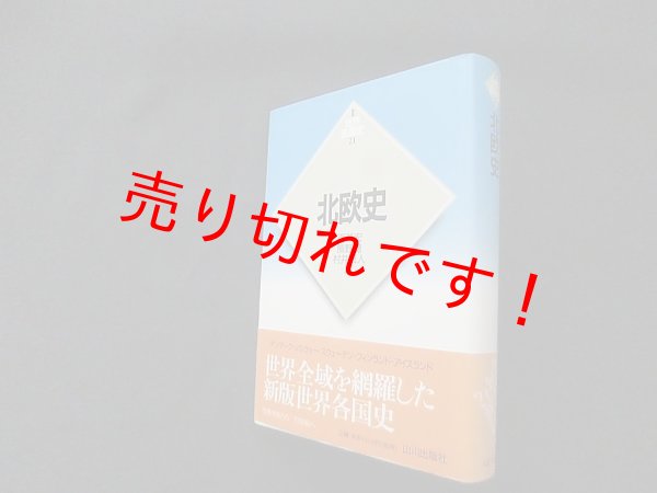 画像1: 新版　世界各国史　21　北欧史　百瀬宏 他編 (1)