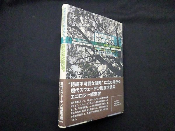 画像1: 持続可能性の経済学を学ぶ―経済学に多元主義を求めて　ペーテル・セーデルバウム/大森正之 他訳 (1)