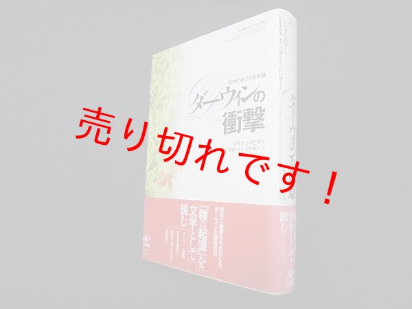 画像1: ダーウィンの衝撃―文学における進化論　ジリアン・ビア/渡部ちあき 他訳 (1)