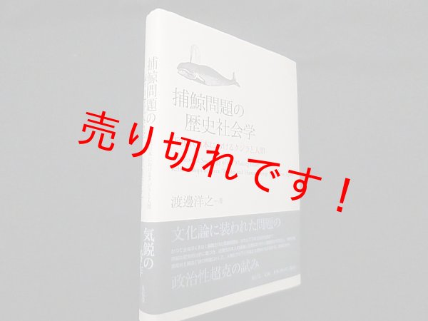 画像1: 捕鯨問題の歴史社会学―近現代日本におけるクジラと人間　渡邊洋之 (1)