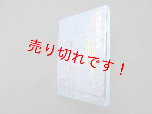 画像1: 精神病院の底流 (クリティーク叢書8)　富田三樹生 (1)