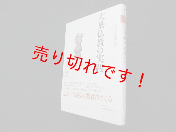 画像1: 大乗仏教の実践 (シリーズ大乗仏教 第3巻)　桂紹隆 他編/高崎直道 監修 (1)