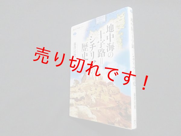 画像1: 地中海の十字路=シチリアの歴史 (講談社選書メチエ)　藤澤房俊 (1)