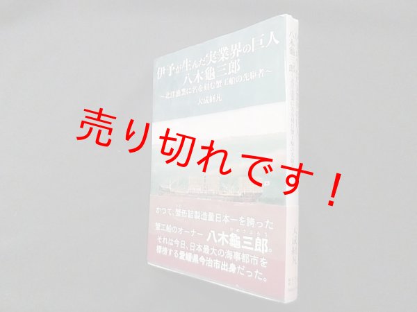 画像1: 伊予が生んだ実業界の巨人 八木龜三郎　大成経凡 (1)