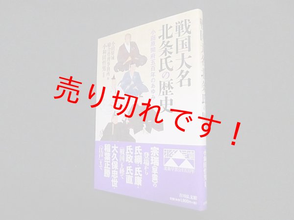 画像1: 戦国大名北条氏の歴史―小田原開府五百年のあゆみ　小田原城総合管理事務所 編 (1)