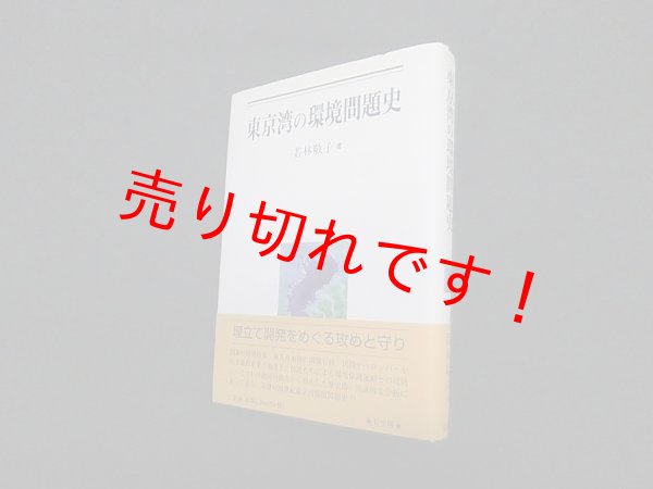 画像1: 東京湾の環境問題史　若林敬子 (1)