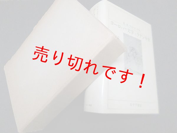 画像1: ヨーロッパ文学とラテン中世　E.R.クルツィウス/南大路振一 他訳 (1)