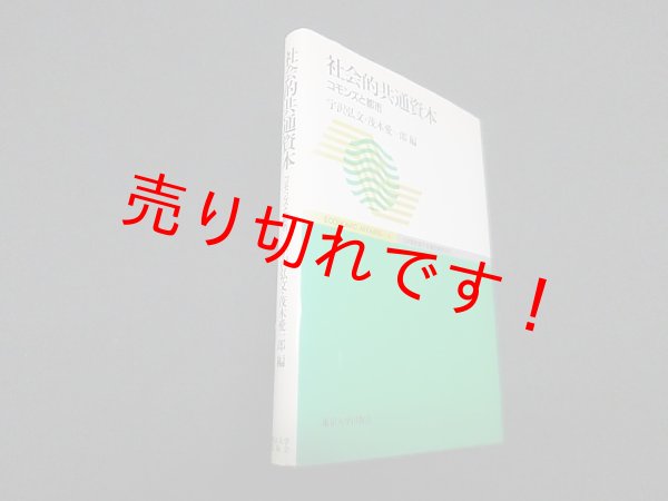 画像1: 社会的共通資本―コモンズと都市 (ECONOMIC AFFAIRS)　宇沢弘文 他編 (1)