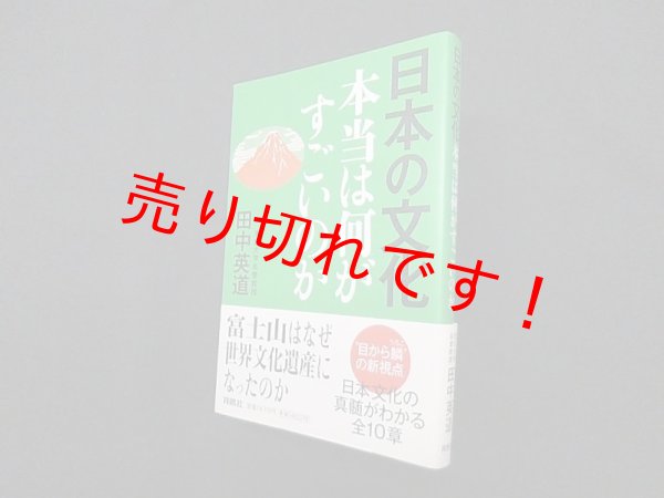 画像1: 日本の文化 本当は何がすごいのか　田中英道 (1)