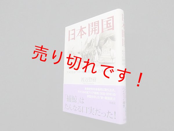 画像1: 日本開国―アメリカがペリー艦隊を派遣した本当の理由　渡辺惣樹 (1)