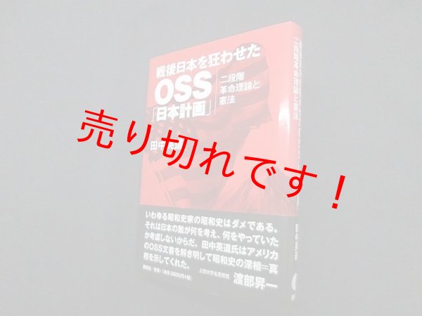 画像1: 戦後日本を狂わせたOSS「日本計画」―二段階革命理論と憲法　田中英道 (1)