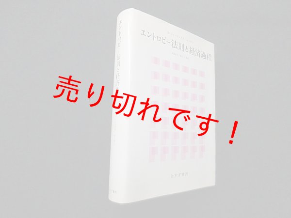 画像1: エントロピー法則と経済過程　N.ジョージェスク=レーゲン/高橋正立 他訳 (1)