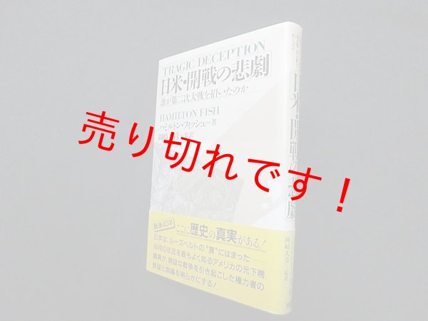 画像1: 日米・開戦の悲劇―誰が第二次大戦を招いたのか　ハミルトン・フィッシュ/岡崎久彦 監訳 (1)