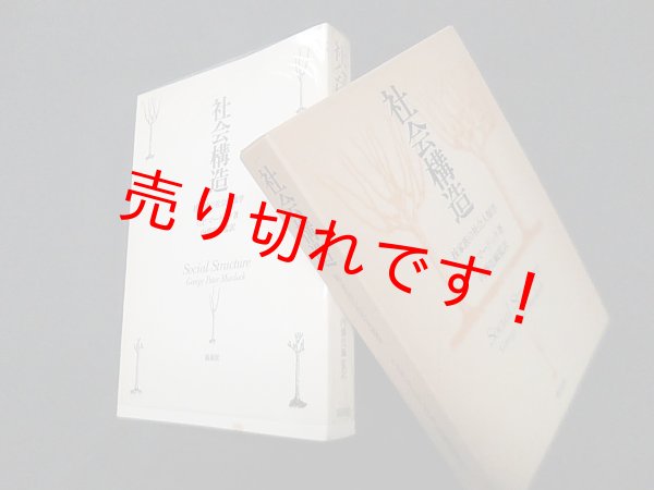 画像1: 社会構造―核家族の社会人類学　G.P.マードック/内藤莞爾 監訳 (1)
