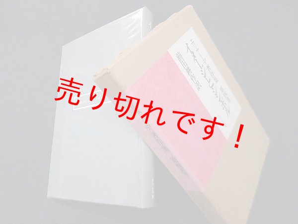画像1: エリアーデ著作集 第4巻 イメージとシンボル　ミルチャ・エリアーデ/前田耕作 訳 (1)