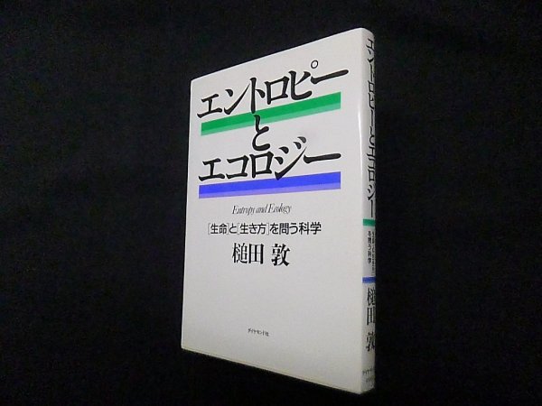 画像1: エントロピーとエコロジー―「生命」と「生き方」を問う科学　槌田敦 (1)