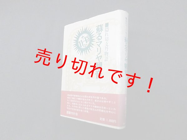画像1: 蘇るマリヤ観音―隠れ切支丹物語　藤田公道 (1)