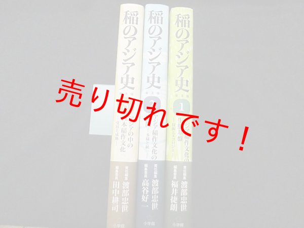 画像2: 稲のアジア史　普及版　全3冊揃　渡部忠世 他編 (2)