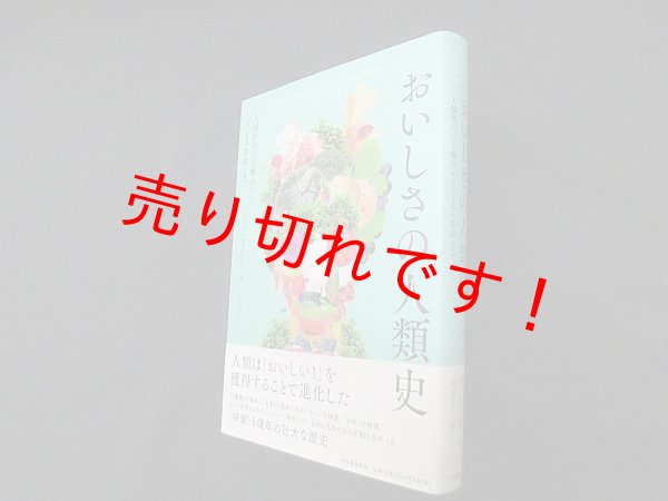 画像1: おいしさの人類史―人類初のひと噛みから「うまみ革命」まで　ジョン・マッケイド/中里京子 訳 (1)