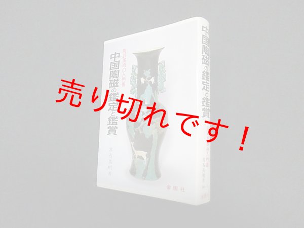 画像1: 中国陶磁の鑑定と鑑賞―陶芸美術の入門書 (美術選書)　常石英明 (1)