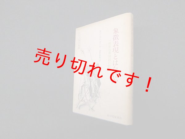画像1: 象徴表現とはなにか―一般象徴表現論の試み (文化人類学叢書)　ダン・スペルベル/菅野盾樹 訳 (1)