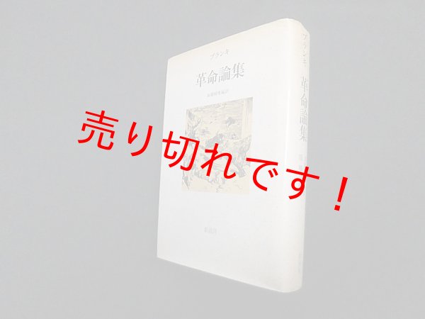 画像1: 革命論集　ルイ・オーギュスト ブランキ/加藤晴康 編訳 (1)