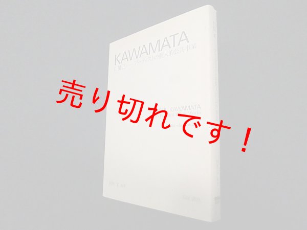 画像1: 川俣正 アーティストの個人的公共事業　岡林洋 (1)