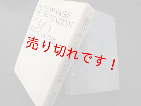 画像1: 現代フランス語名詞活用辞典　大賀正喜 (1)