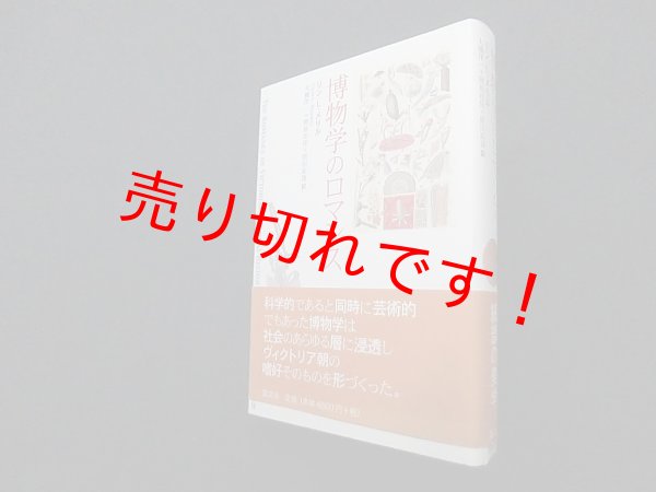画像1: 博物学のロマンス　リン・L.メリル/大橋洋一 他訳 (1)