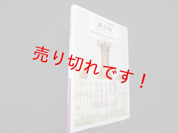 画像1: 錬金術―精神変容の秘術 (新版イメージの博物誌)　スタニスラス・クロソウスキ・ド・ローラ/種村季弘 他訳 (1)