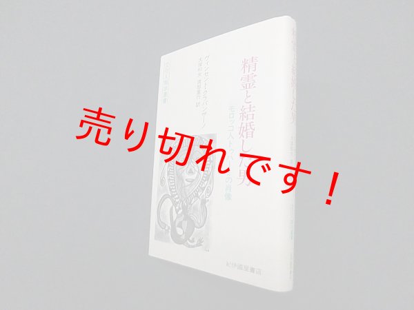 画像1: 精霊と結婚した男―モロッコ人トゥハーミの肖像 (文化人類学叢書)　ヴィンセント クラパンザーノ/大塚和夫 他訳 (1)