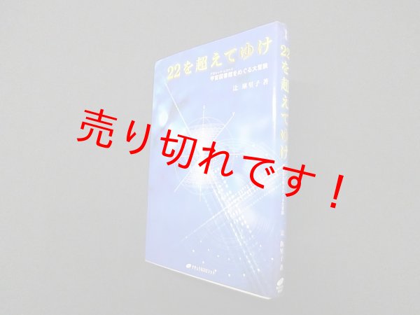 画像1: 22を超えてゆけ―宇宙図書館(アカシック・レコード)をめぐる大冒険　辻麻里子 (1)