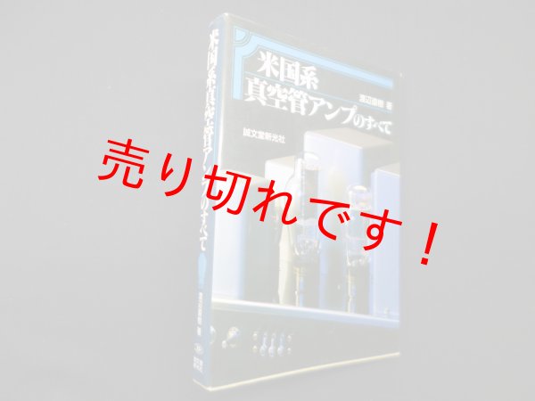 画像1: 米国系真空管アンプのすべて　渡辺直樹 (1)