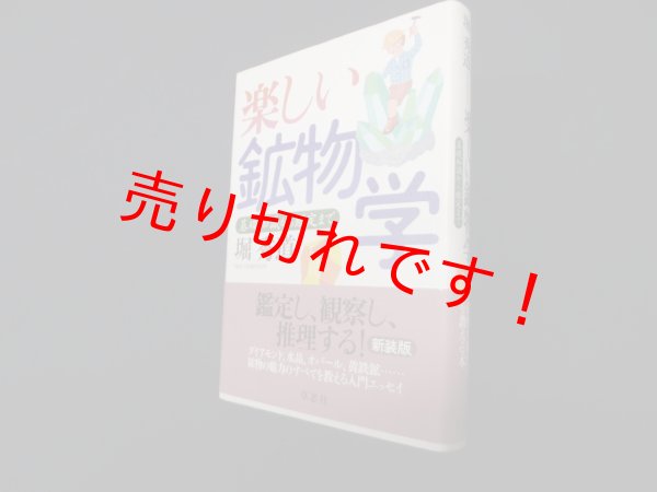 画像1: 楽しい鉱物学―基礎知識から鑑定まで　新装版　堀秀道 (1)