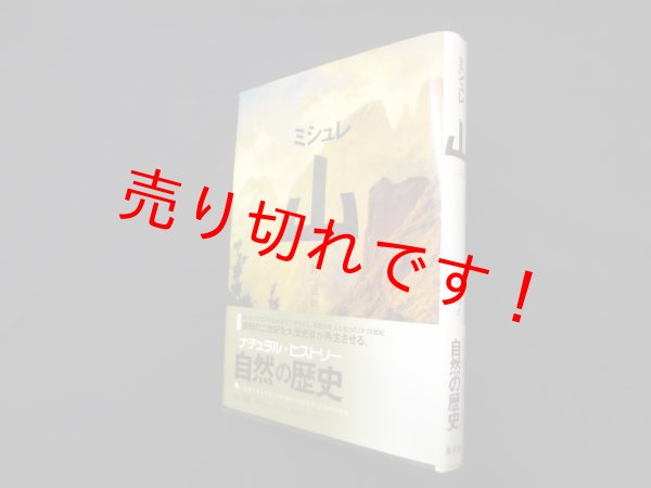 画像1: 山　ミシュレ/大野一道 訳 (1)