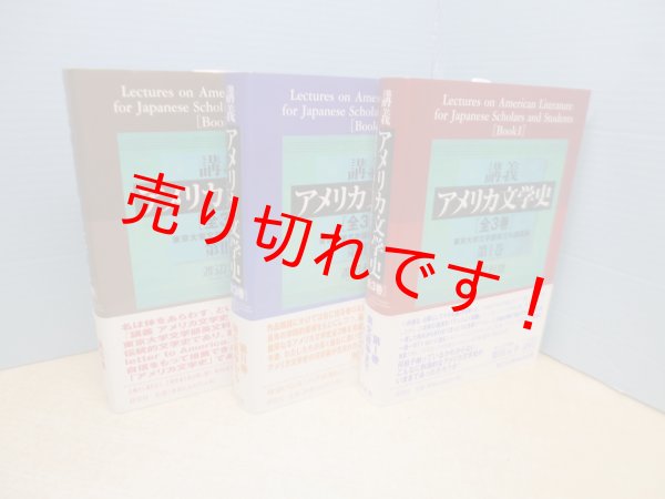 画像2: 講義 アメリカ文学史―東京大学文学部英文科講義録　全3冊揃　渡辺利雄 (2)