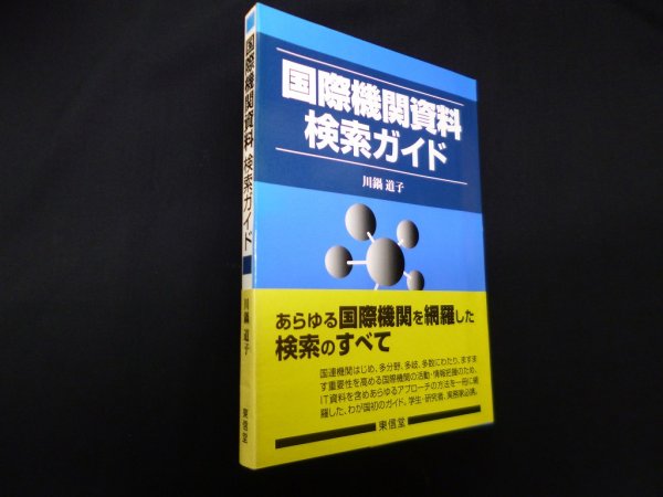 画像1: 国際機関資料検索ガイド　川鍋道子 (1)