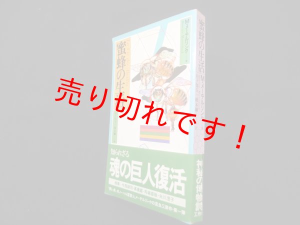 画像1: 蜜蜂の生活　M.メーテルリンク/山下知夫 他訳 (1)