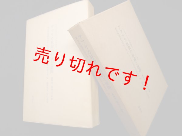 画像1: アフリカ社会の形成と展開―地域・都市・言語 アフリカ大サバンナ学術調査プロジェクト報告　東京外国語大学アジア・アフリカ言語文化研究所 編 (1)