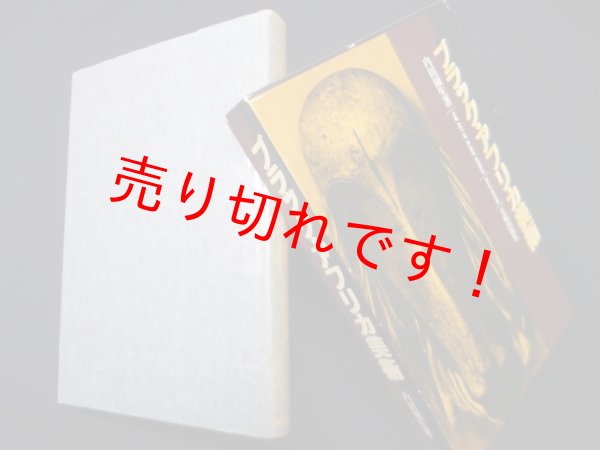 画像1: ブラック・アフリカ美術　内田園生 (1)
